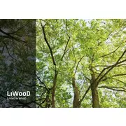 LiWooD Management AG